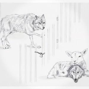 wolf_lamb_wolf_square