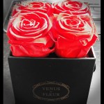 Eternity Roses